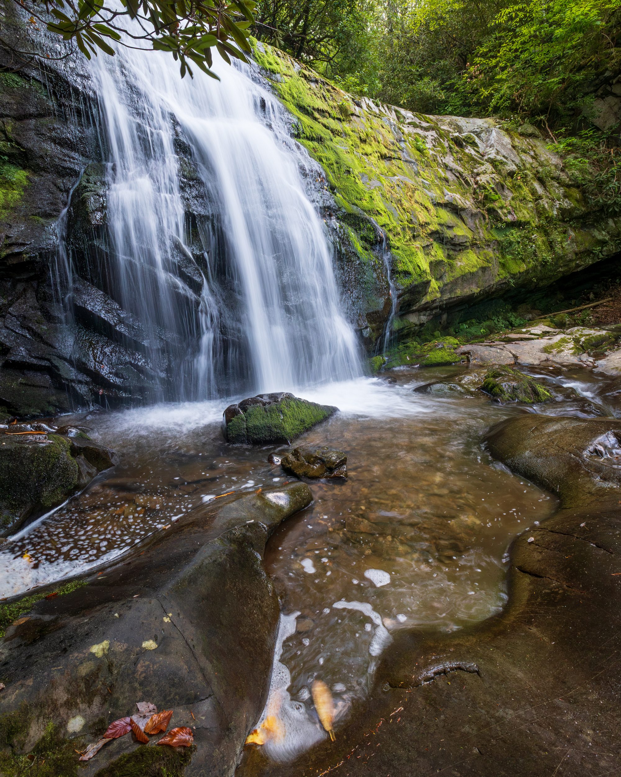 Meigs Falls flowing down a rock face framed by rhododendron into a boulder pool, Great Smoky Mountains.