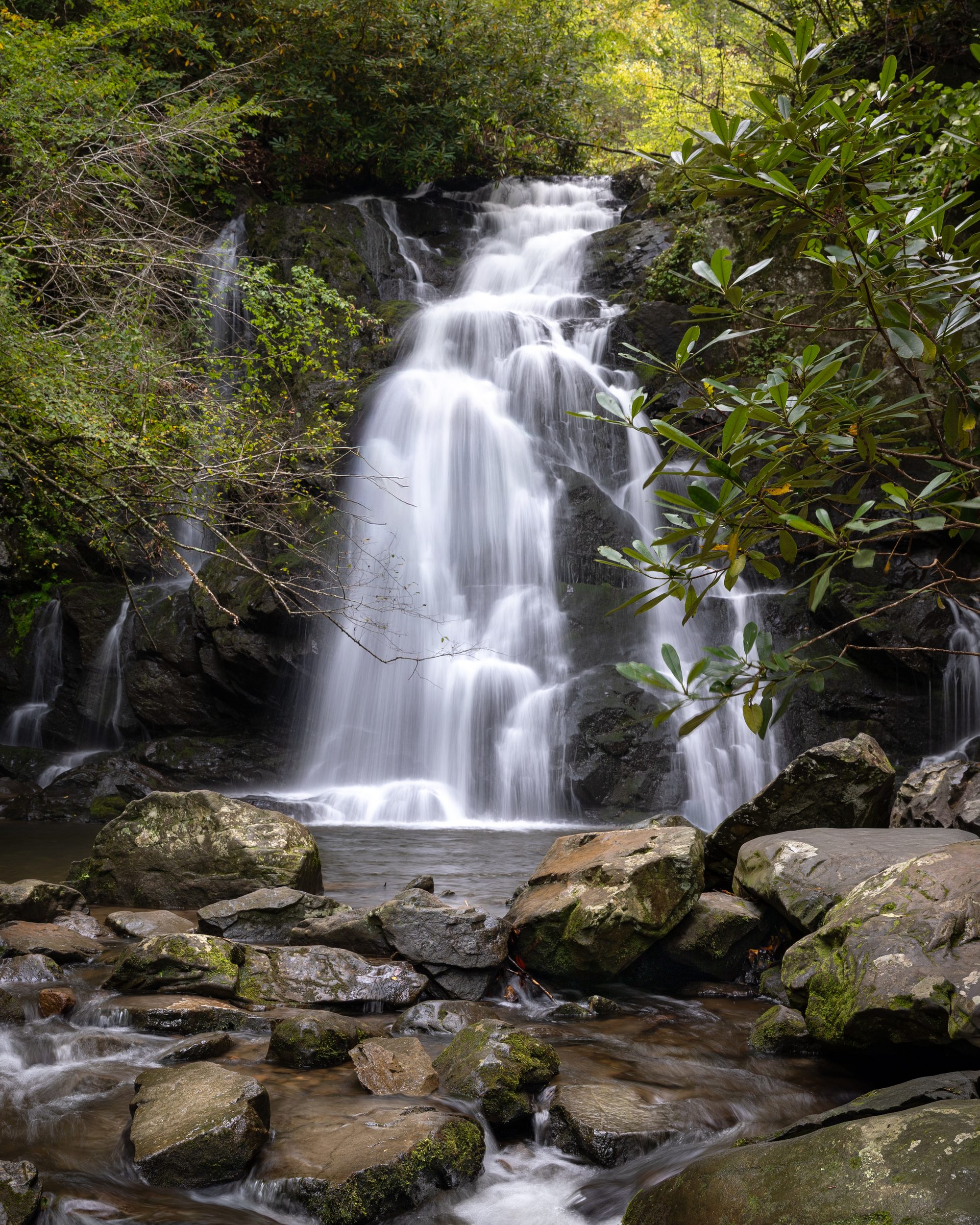 Spruce Flats Falls in spring, framed by green rhododendron, water flowing over dark rock near Tremont, Great Smoky Mountains.
