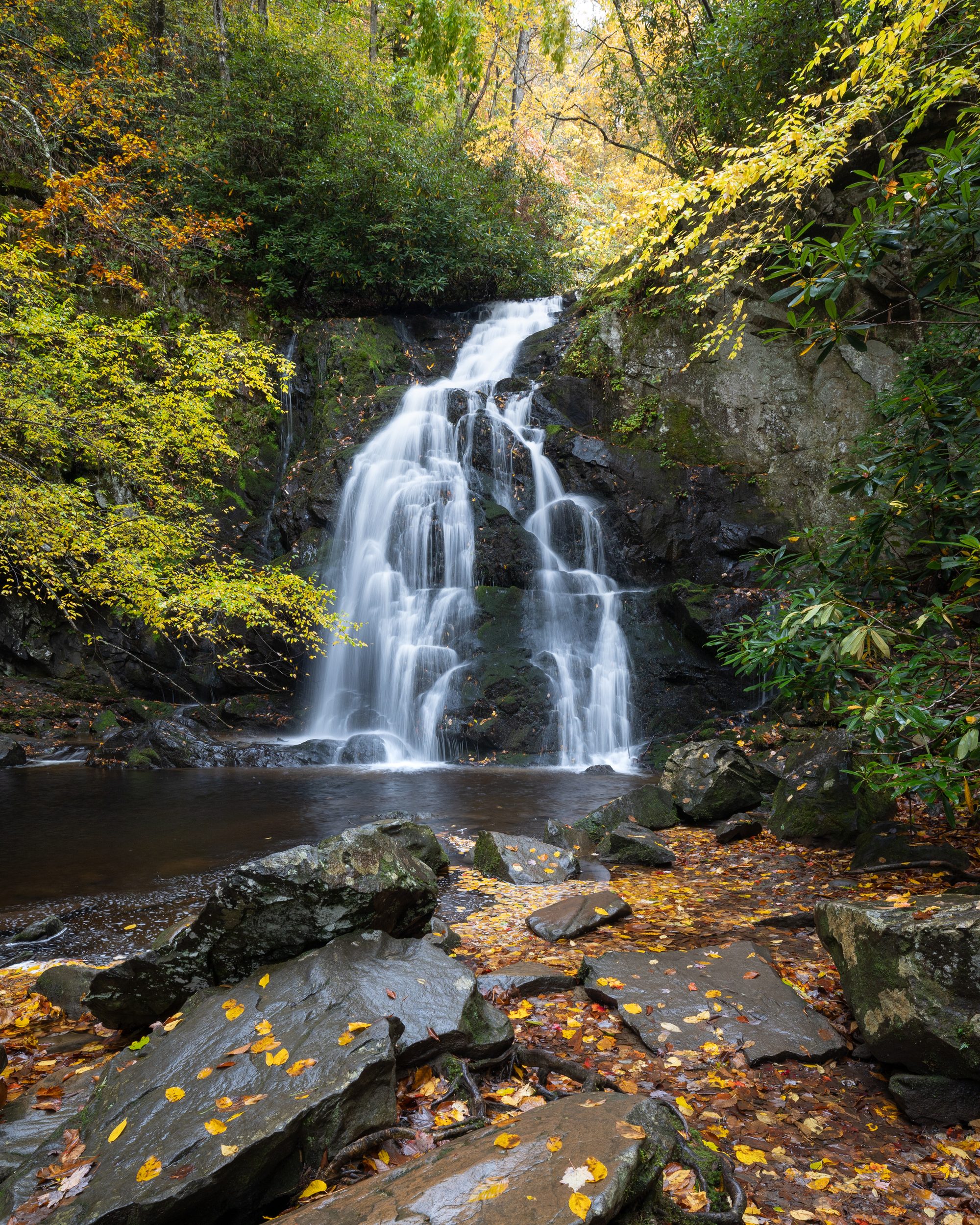 Spruce Flats Falls cascading over rock ledges in autumn, fallen leaves on the rocks below, near Tremont in the Great Smoky Mountains.