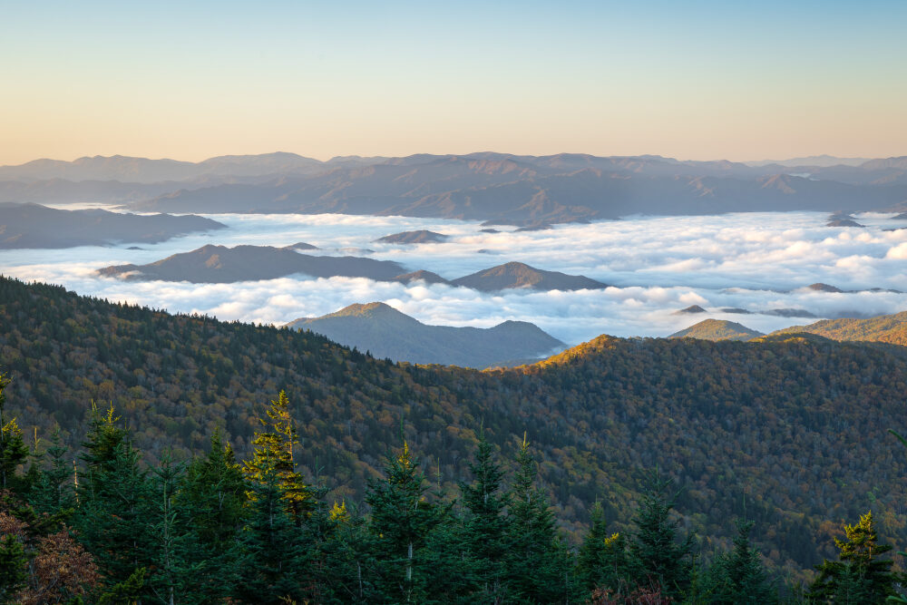Fine-art landscape and wildlife photography of East Tennessee by Tim McLeod