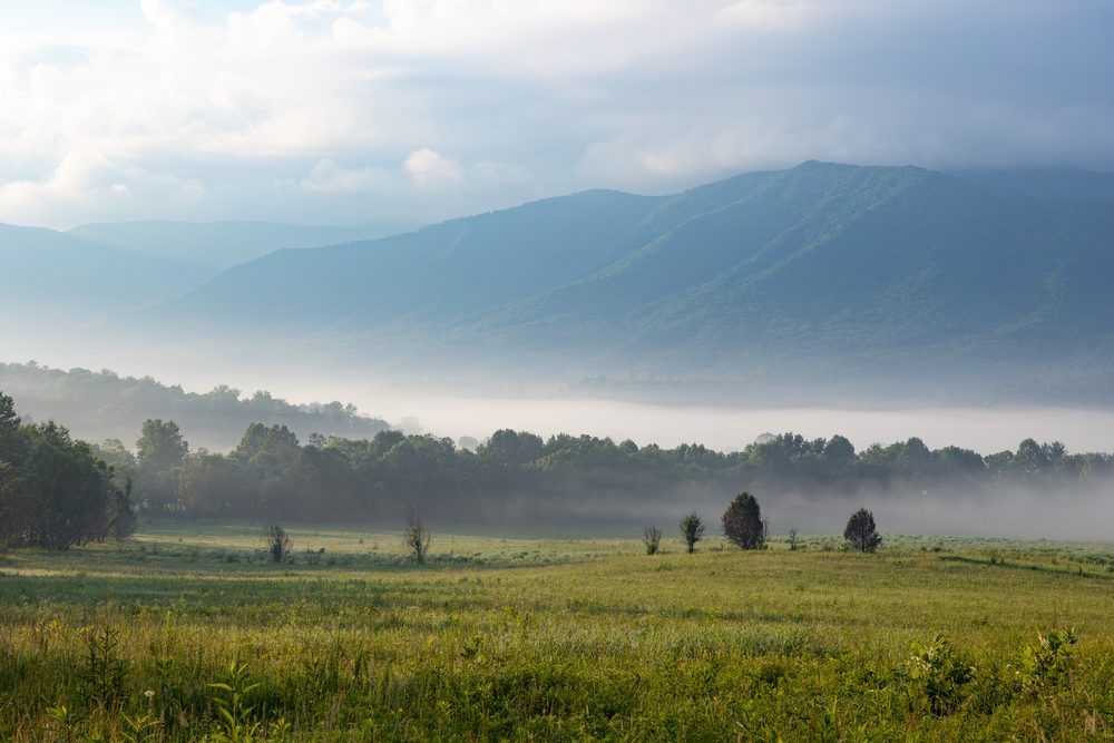 Fine-art landscape and wildlife photography of East Tennessee by Tim McLeod