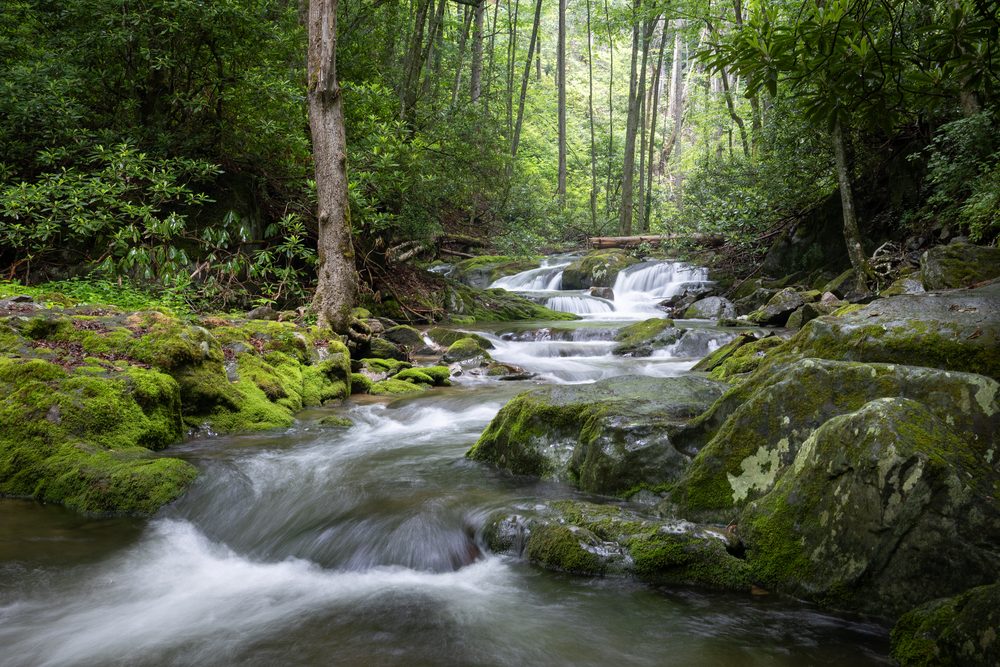 Fine-art landscape and wildlife photography of East Tennessee by Tim McLeod